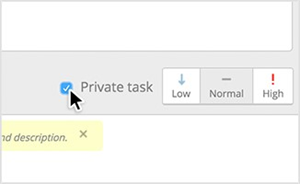 The Private Task option of a task.