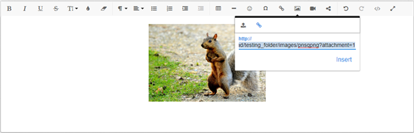 Inserting an image into the WYSIWYG editor..