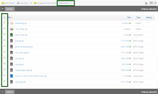 The Bulk Delete button at the top of the Folder.