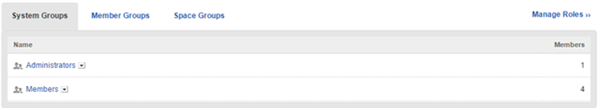 The System Groups tab of the manage groups page.